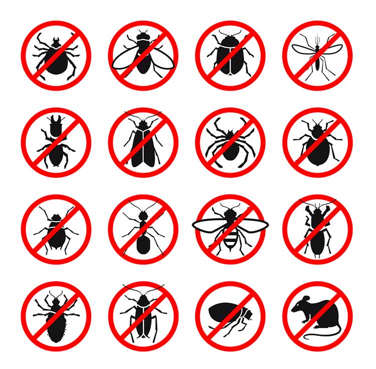 miscellenous-pest-control-service-in-mumbai-psi-pest-solution4